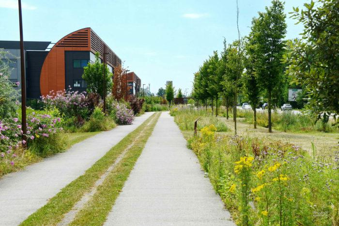 Bureau Villeneuve-d'Ascq 178m² Location bureau Villeneuve-d'Ascq Nord OLBUR2114042 5